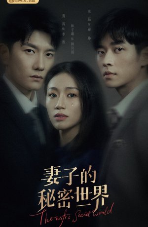 Дорама Тайный мир жены онлайн